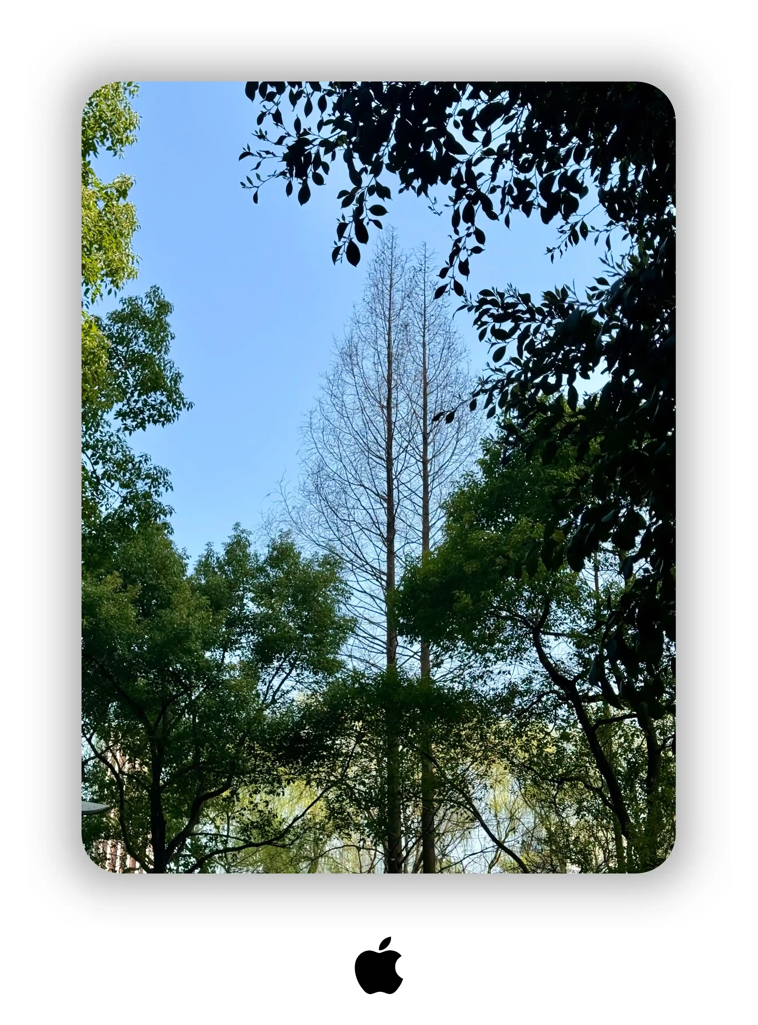 尝试在手机上发个博客